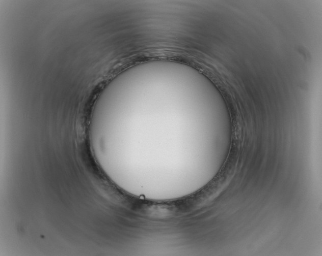 X0000113230751200909100943