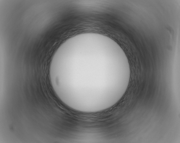 X0000113230752200909100943