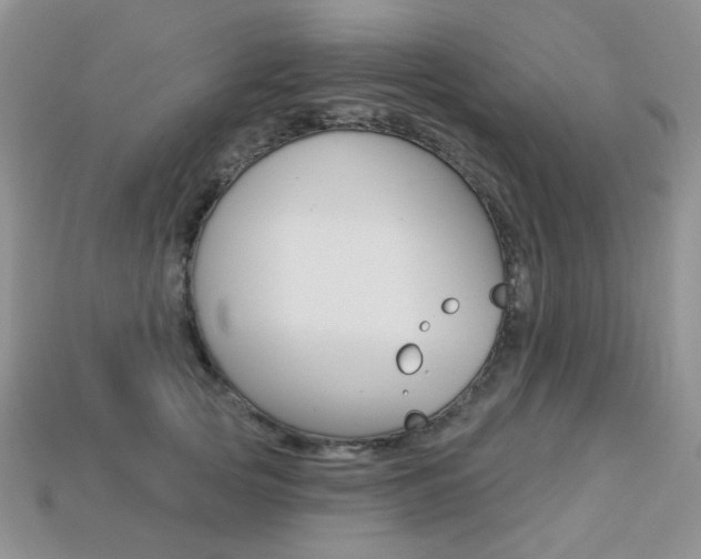 X0000113230753200909100943
