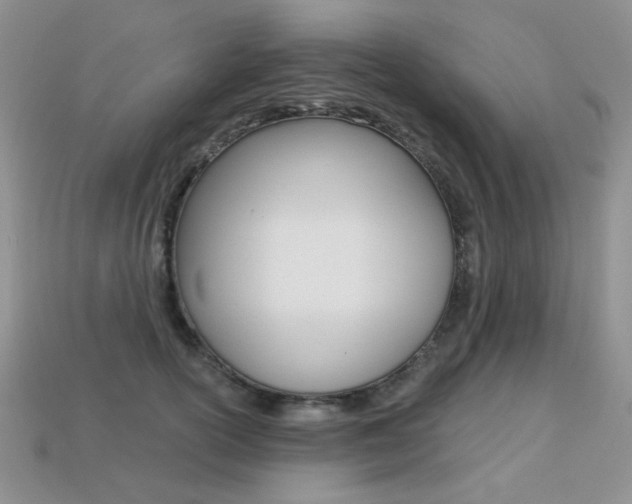 X0000113230754200909100943
