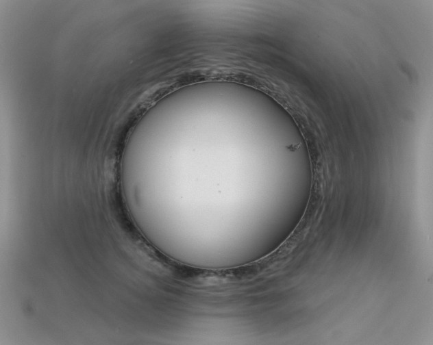 X0000113230756200909100943