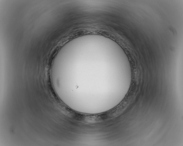 X0000113230757200909100943