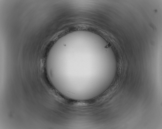 X0000113230759200909100943