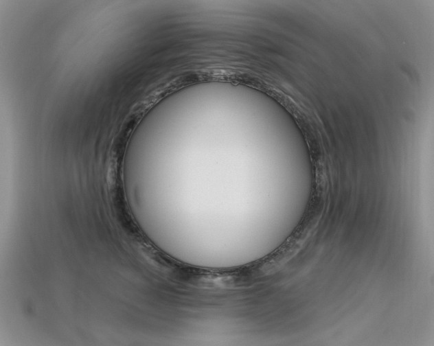X0000113230760200909100943