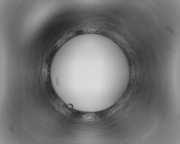X0000113230761200909100943