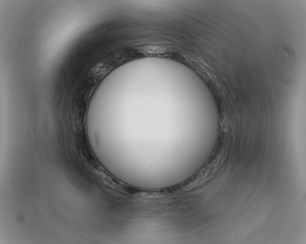 X0000113230763200909100943