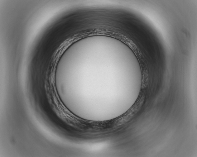 X0000113230765200909100943