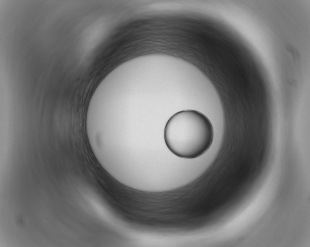 X0000113230766200909100943