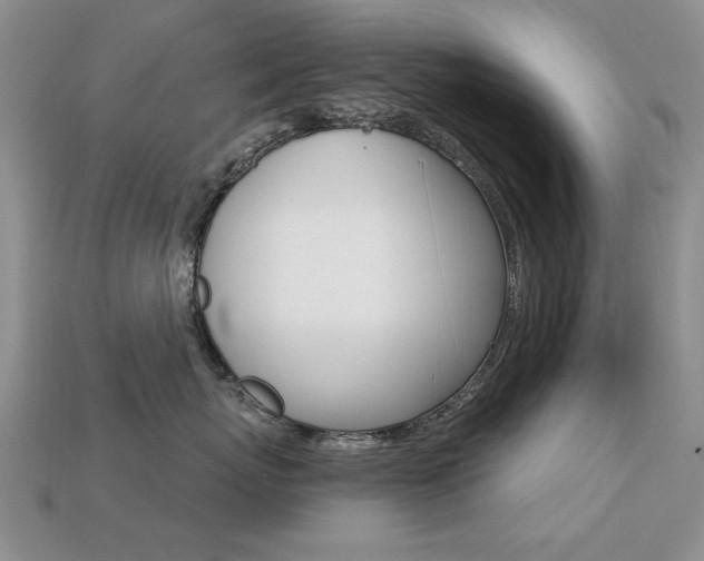 X0000113230767200909100943