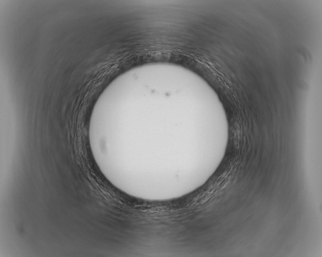 X0000113230769200909100942