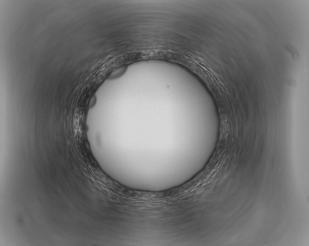 X0000113230770200909100942