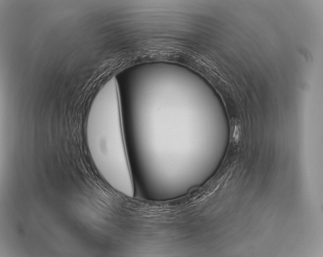 X0000113230771200909100942