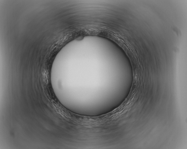 X0000113230772200909100942