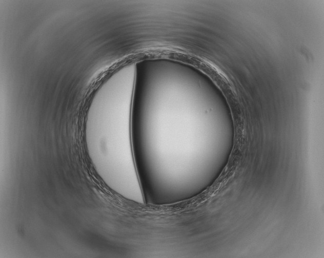 X0000113230775200909100942