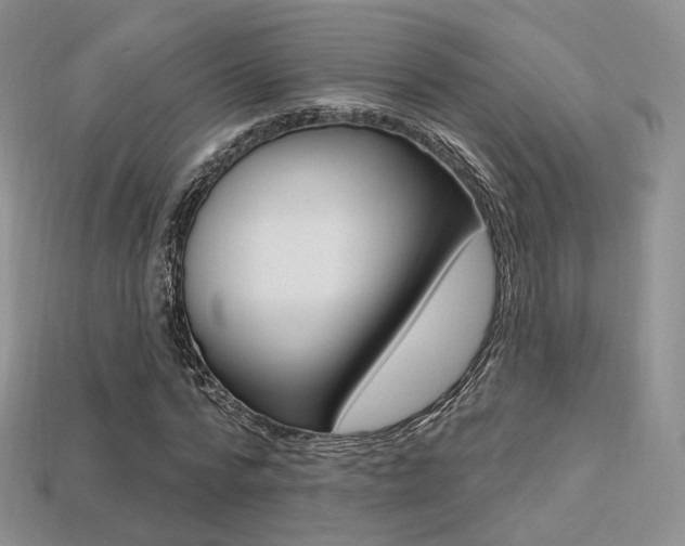 X0000113230776200909100942