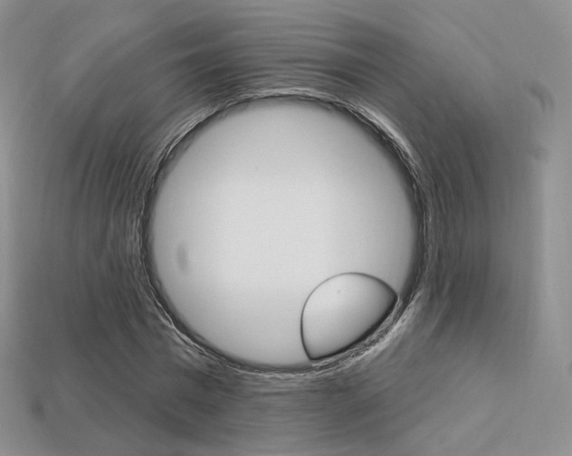 X0000113230777200909100942