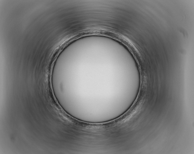 X0000113230778200909100942