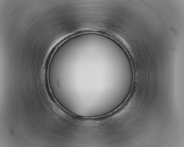 X0000113230779200909100942