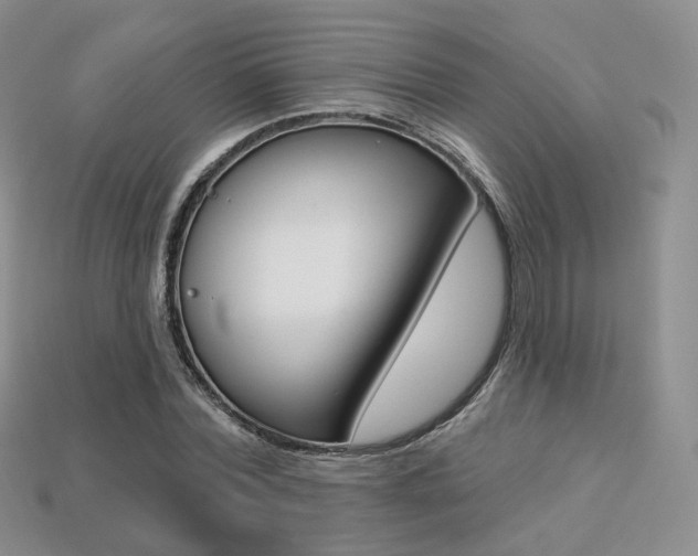 X0000113230780200909100942