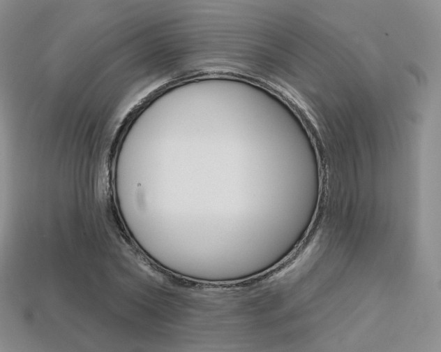 X0000113230782200909100942
