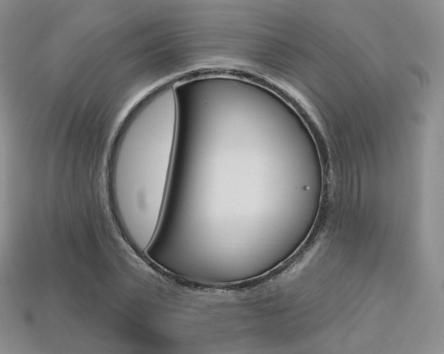 X0000113230783200909100942