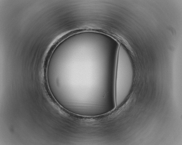 X0000113230784200909100942