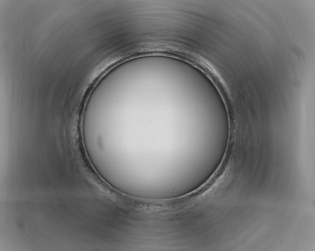 X0000113230786200909100942