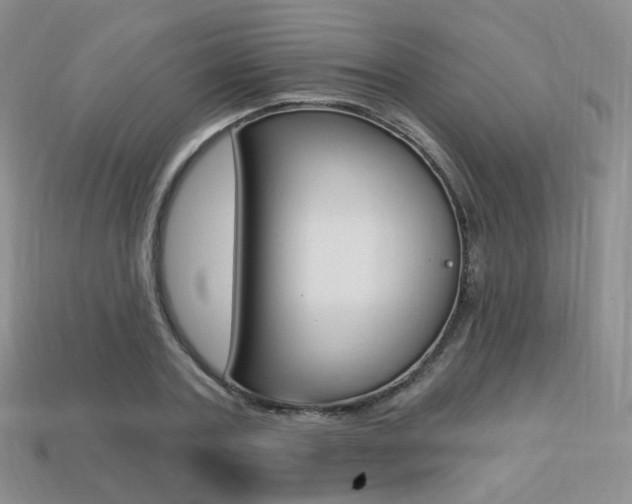 X0000113230787200909100942