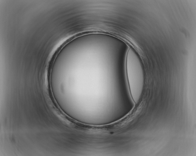 X0000113230788200909100942