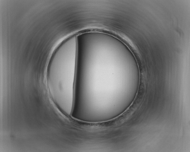 X0000113230791200909100942