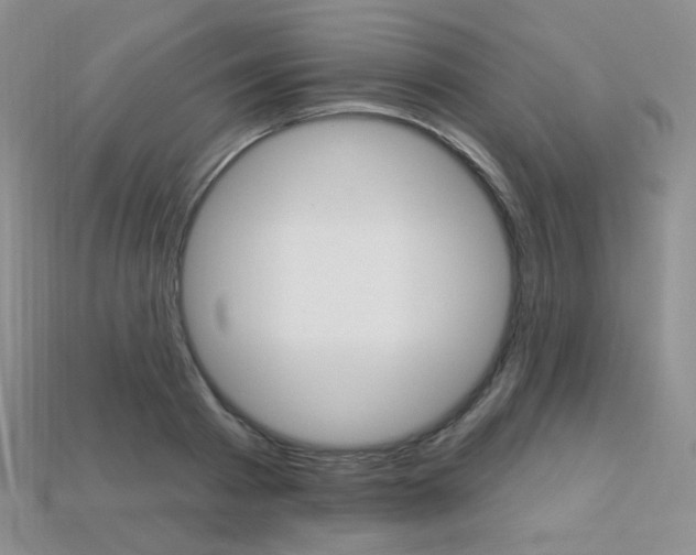 X0000113230793200909100942