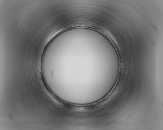 X0000113230794200909100942