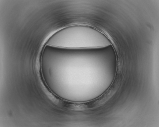 X0000113230795200909100942