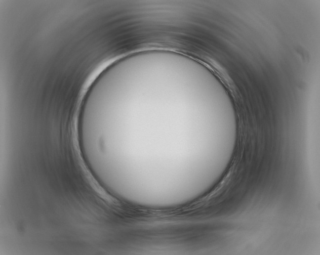 X0000113230796200909100942