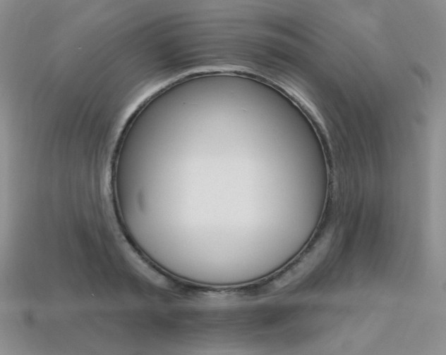 X0000113230797200909100942