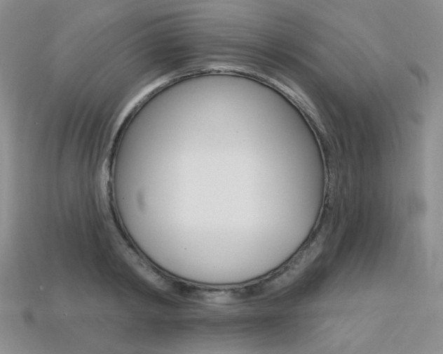 X0000113230798200909100942