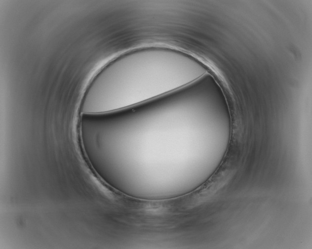 X0000113230799200909100942