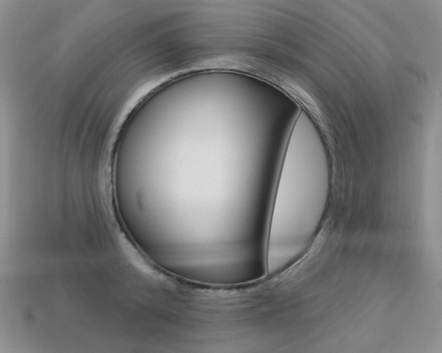 X0000113230800200909100942
