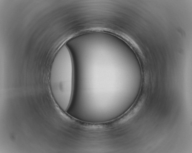 X0000113230801200909100942