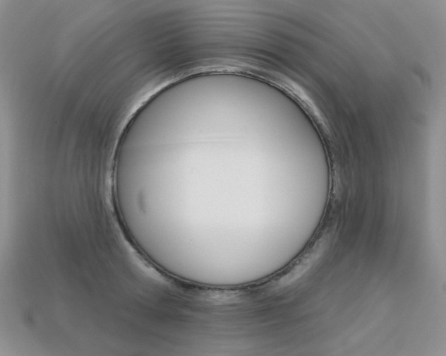 X0000113230802200909100942