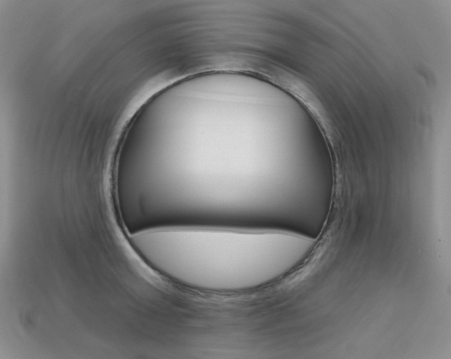 X0000113230803200909100942