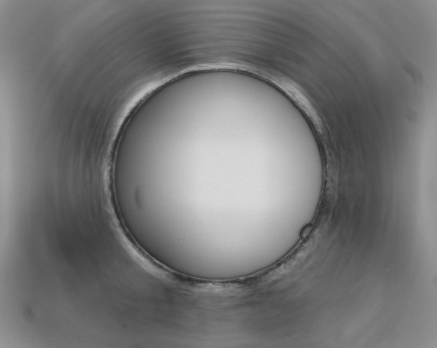 X0000113230805200909100942