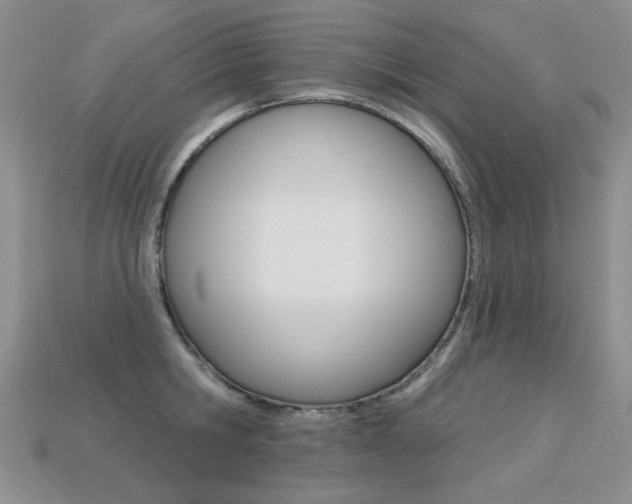 X0000113230806200909100942