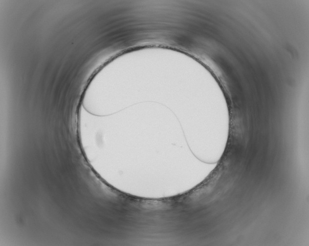 X0000113230807200909100942