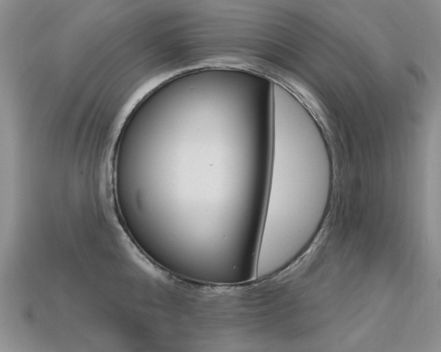 X0000113230808200909100942