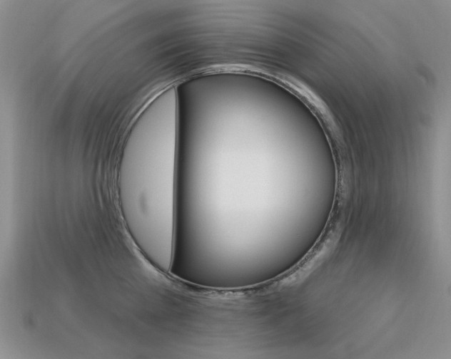 X0000113230809200909100942