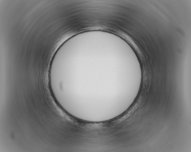 X0000113230810200909100942