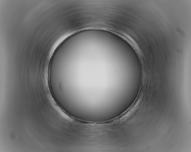 X0000113230812200909100942