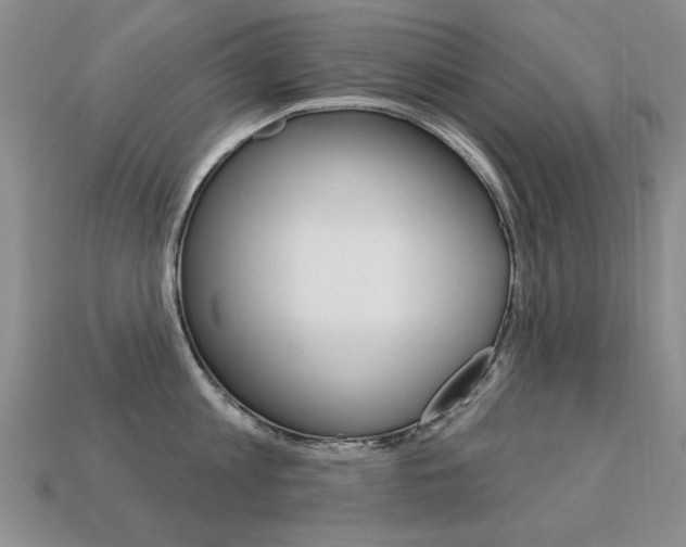 X0000113230813200909100942