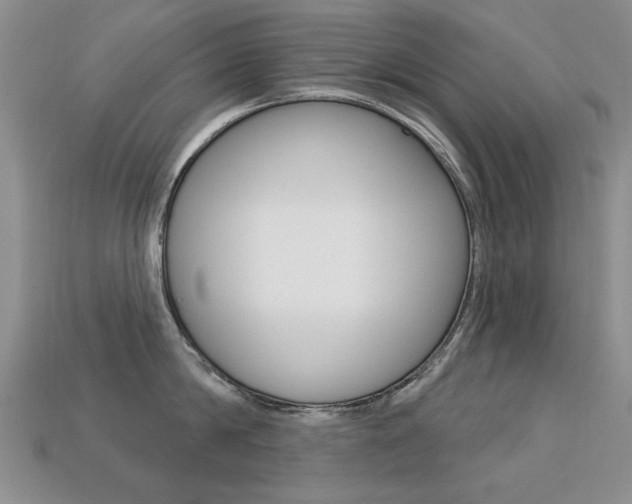 X0000113230814200909100942